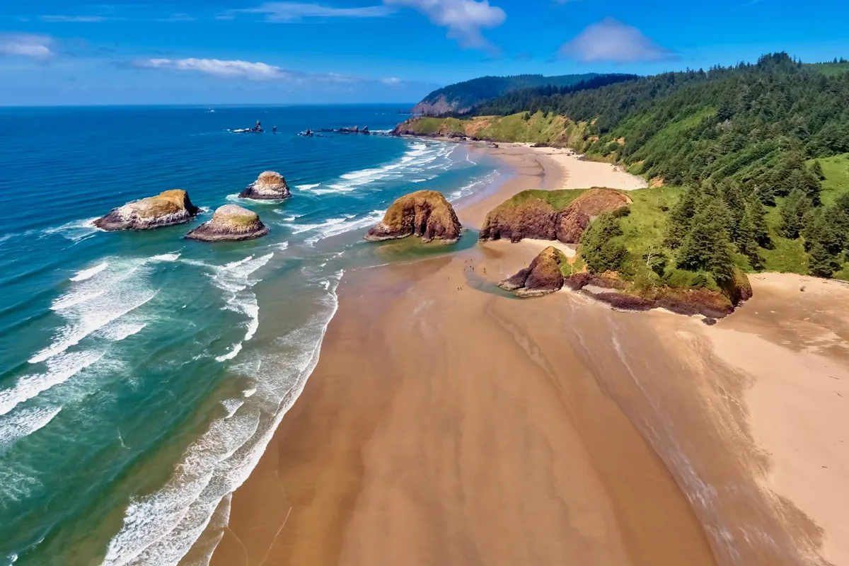 A vibrant view of the beach, ocean, and natural rock formations edged by a lush forest. The scene features open space for sunbathing, swimming, or building sandcastles, with gentle waves lapping the shore under a soft sky.